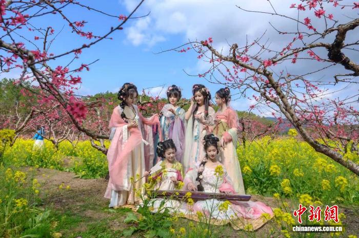 5000多亩桃花绽放 广东连州启动赏花季【秘鲁新世界日報】